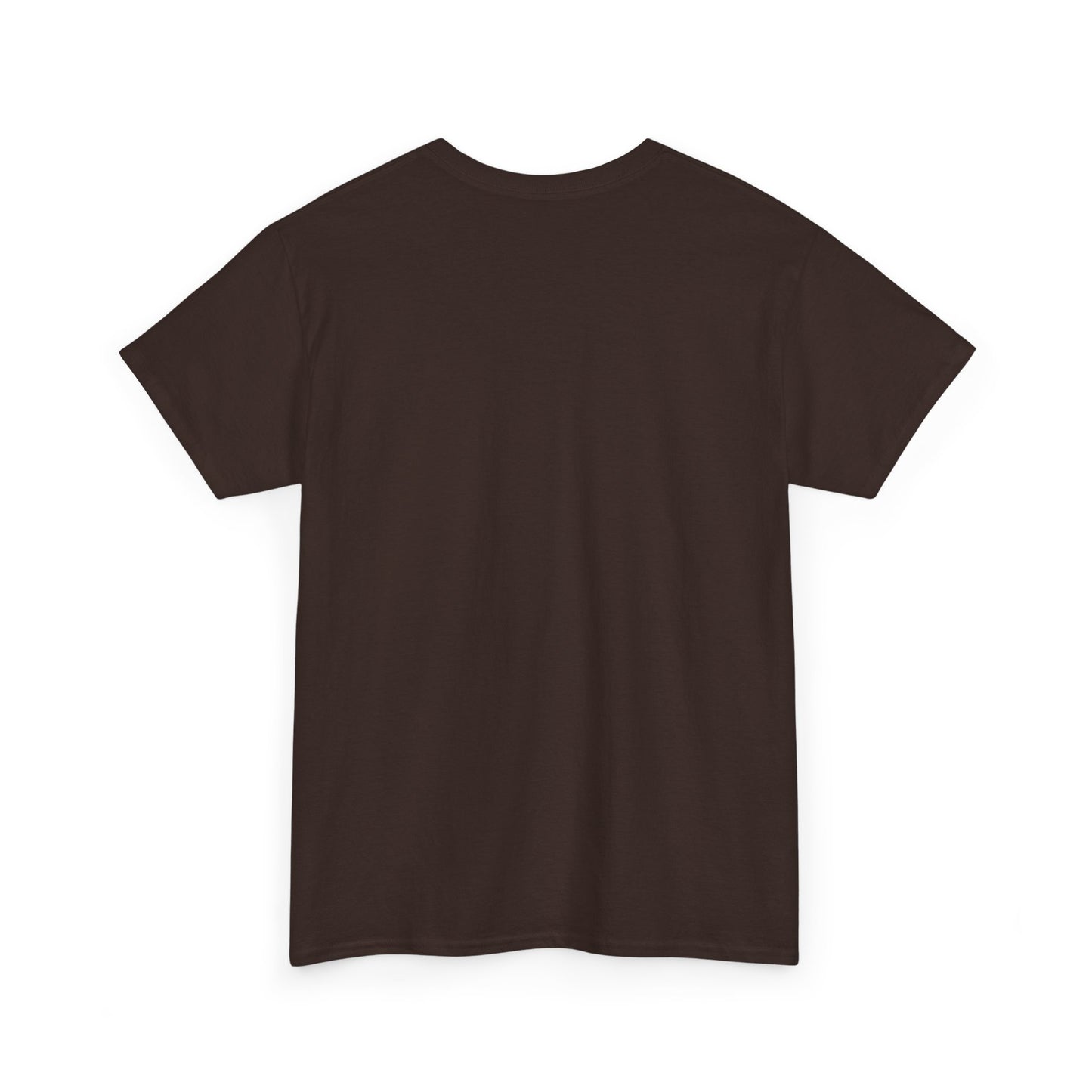 Boyish Unisex T-Shirt, Casual Tee, Trendy Tee, Cotton Tee, Graphic Tee Shirt for Men and Women