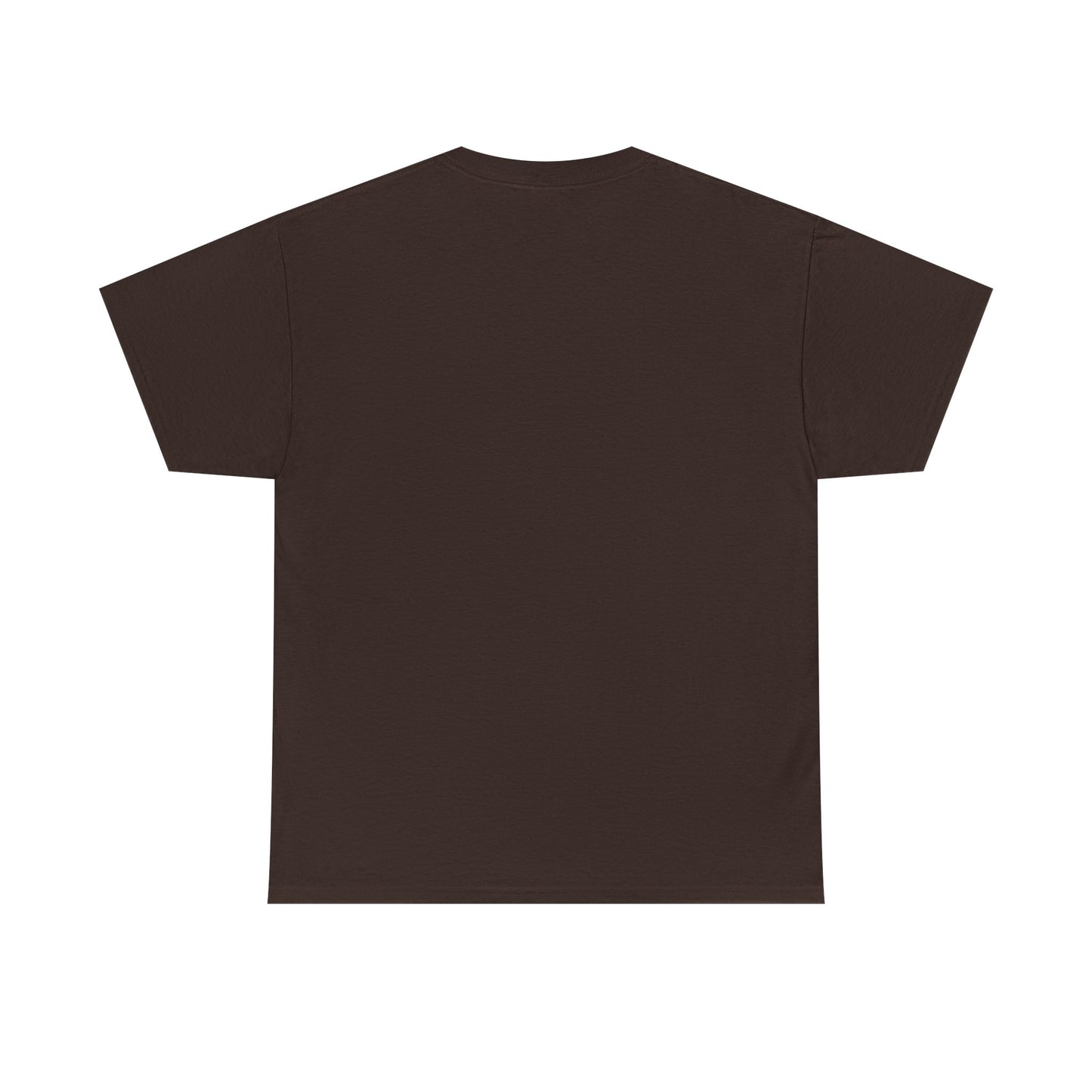 Boyish Unisex T-Shirt, Casual Tee, Trendy Tee, Cotton Tee, Graphic Tee Shirt for Men and Women