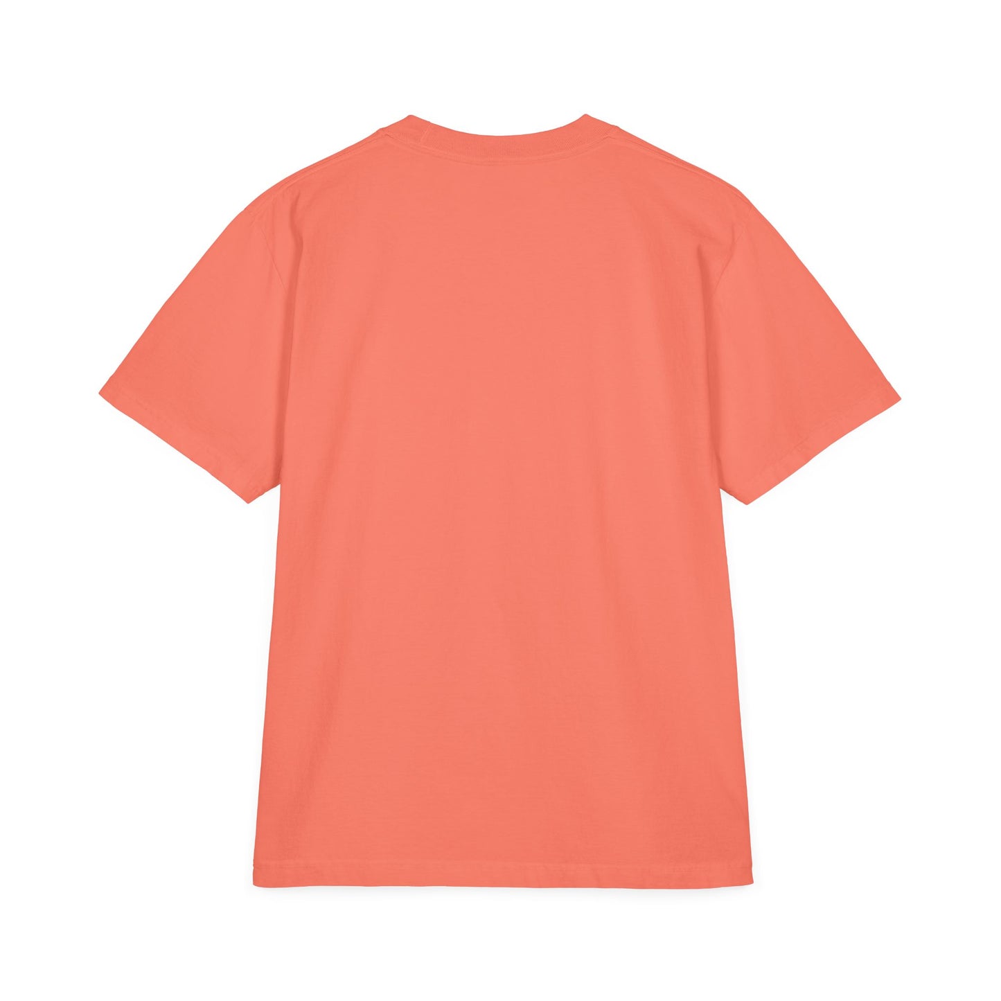 I Got It - Tee Unisex T-Shirt, Drop-Shoulder Shirt, Garment-Dyed Tee, Relaxed Fit Top, Casual Tee, Comfortable Shirt